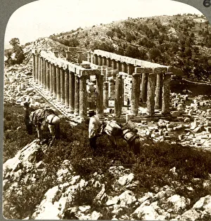 Apollo Gallery: The Bassae Temple of Apollo, Greece