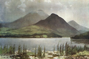 Images Dated 24th June 2011: Bassenthwaite
