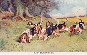 Hound Prints: Basset Hounds