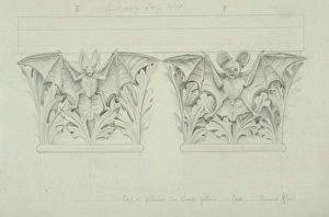 Bat design Bat design