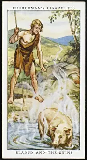 Cured Prints: Bath / Bladud / Pig / Cig Card