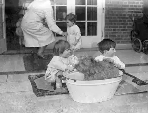 Bathing the Dog