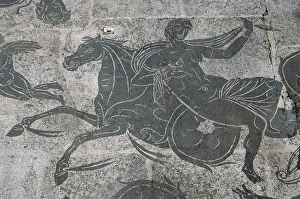 Images Dated 5th April 2009: Baths of Neptune. Mosaic. Ostia Antica