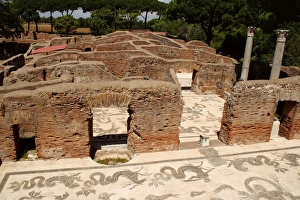Images Dated 14th August 2005: Baths of Neptune. Ostia Antica. Italy