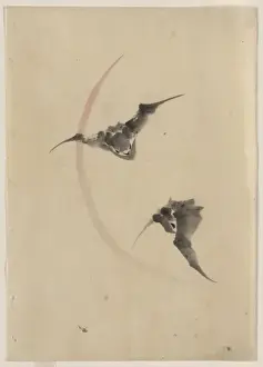 Bats Prints: Two bats flying