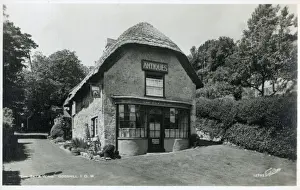 Bats Prints: The Bats Wing - Godshill, Isle of Wight, Hampshire
