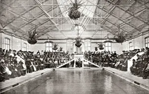 Battersea new Ladies Swimming Bath