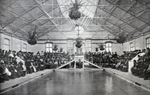 Battersea New Ladies Swimming Bath
