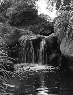 Water Fall Prints: Battersea Park Waterfall