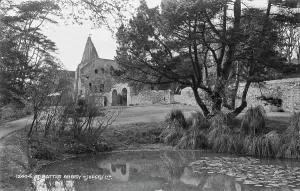 Pond Prints: At Battle Abbey