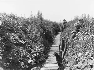 Battle of Albert 1916