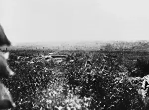 Battle of Albert 1916