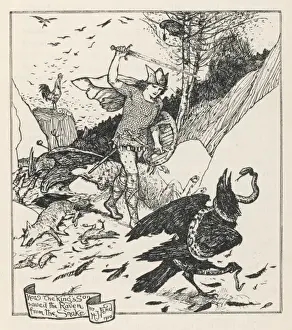 The Battle of the Birds