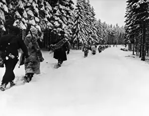 Battle of the Bulge