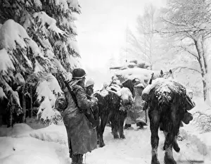 Battle of the Bulge, 1944