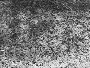 Battle of Champagne WWI