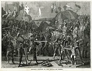 Crecy Gallery: Battle of Cr飹1346