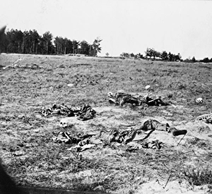 Battle-field of Gaines Mill, Va