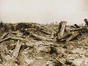 Battle of Flanders