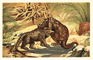 Jurassic Prints: Battle between a Megalosaurus bucklandii and Iguanodon bernissar