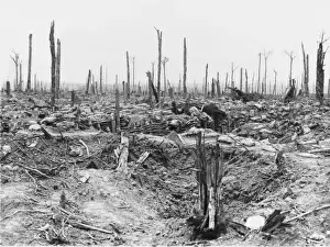 Ridge Prints: Battle of Messines Ridge