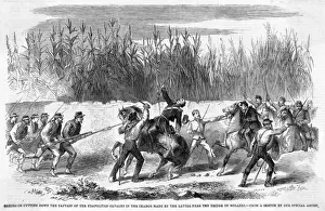 Battle of Milazzo - 2