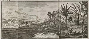 Palms Collection: Battle of Otumba (7th July 7, 1520)