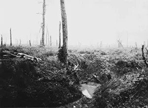 Battle of the Somme
