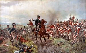 Wellington Collection: The Battle of Waterloo