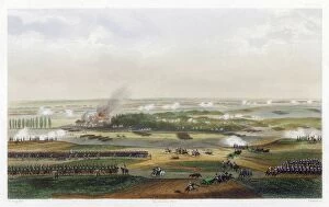 Wellington Collection: Battle of Waterloo