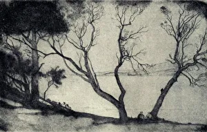 Southeast Prints: Across The Bay, Coogee, N. S. W