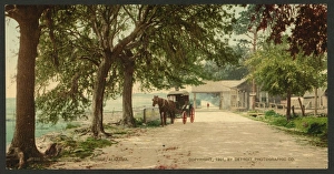 Shell Collection: On Bay Shell road, Mobile, Alabama