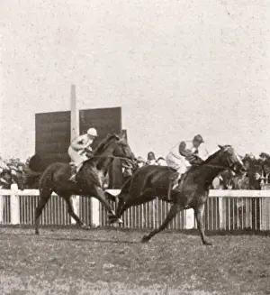 Bred Prints: Bayardos second Doncaster victory