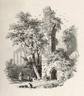 Bayham Abbey 4 of 6