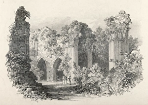 Bayham Abbey 4 of 6