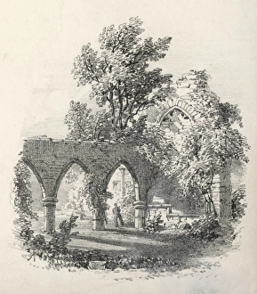 Bayham Abbey 4 of 6