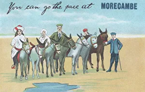 Beach Donkeys