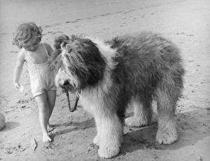 Images Dated 17th August 2011: BEACH PALS