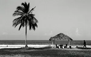 Images Dated 13th June 2016: Beach scene in Trinidad, West Indies