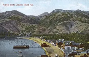 Beach view, Avalon, Santa Catalina Island, California, USA