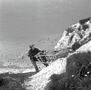 Beachy Head, near Eastbourne, Sussex