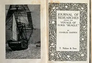 Theory Prints: The Beagle