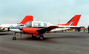 Beagle Prints: Beagle B. 206R Basset CC. 1 XS770
