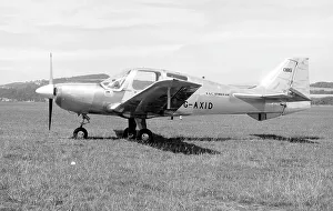 Shoreham Prints: Beagle Pup 150 G-AXID