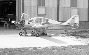 1969 Prints: Beagle Pup G-AXHK