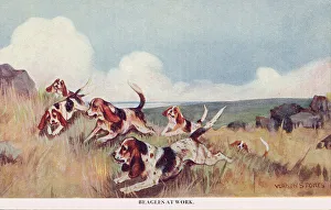 Hound Prints: Beagles