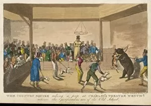 Bear Baiting, 1821
