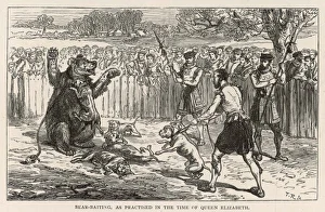 Baiting Collection: Bear Baiting C 16