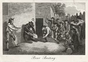 Baiting Collection: Bear Baiting C 18