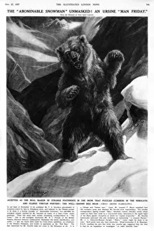 Bear believed responsible for 1937yeti footprints on Everest